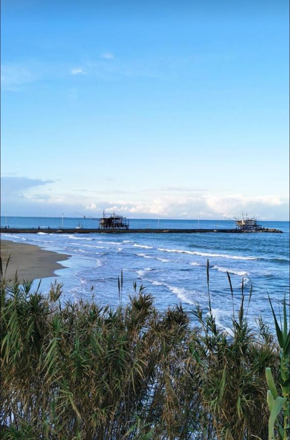 Magnolia Casa Di Campagna Costa Dei Trabocchi Rocca San Giovanni Ngoại thất bức ảnh