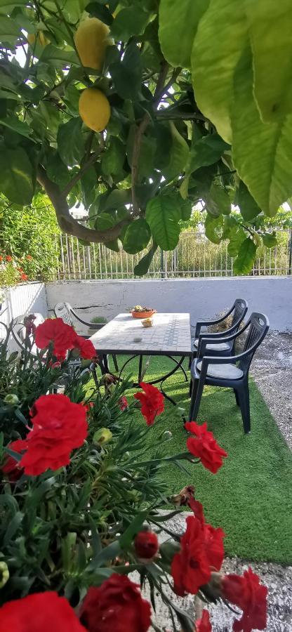 Magnolia Casa Di Campagna Costa Dei Trabocchi Rocca San Giovanni Ngoại thất bức ảnh